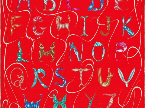  国外高端丝巾面料印花图案1097 