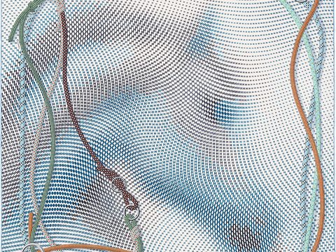  国外高端丝巾面料印花图案1258 