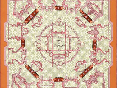  国外高端丝巾面料印花图案337 