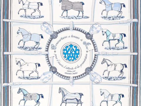 国外高端丝巾面料印花图案907