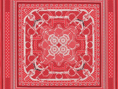 国外高端丝巾面料印花图案857