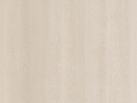 现代奶油白蜡木 浅色木纹 浅色橡木木饰面