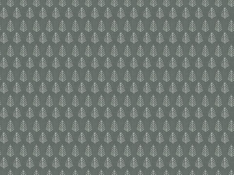  先进班集体申报材料 