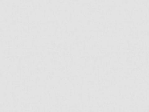  布料 沙发布料 抱枕布料 床品布料 窗帘布料 