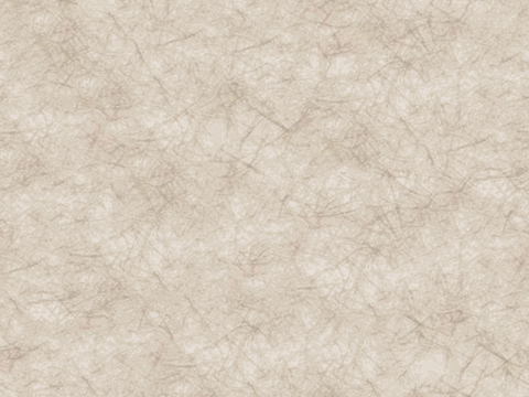 现代简约米色杜邦纸