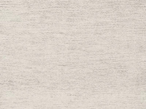 现代简约地毯贴图