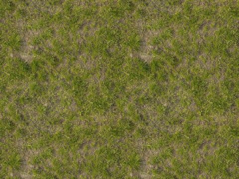 无缝自然草地草皮草坪