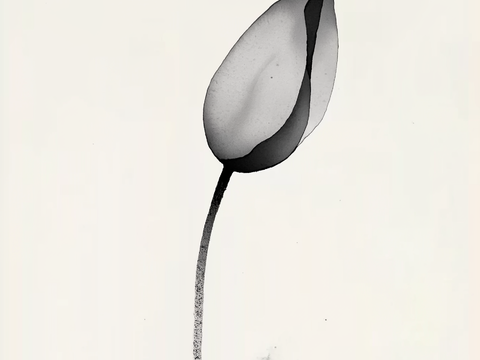  高清中式禅意水墨画 