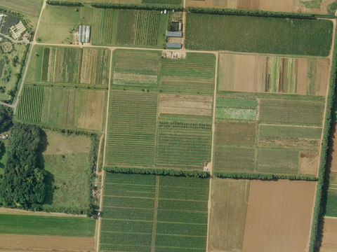  草地田地鸟瞰大地航拍 