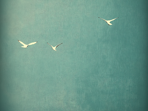  高清中式禅意极简画 