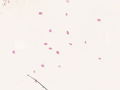  高清中式花鸟画 