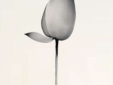  高清中式禅意水墨画 