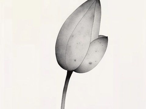  高清中式禅意水墨画 