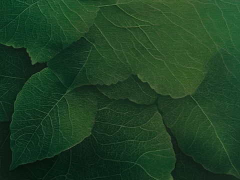  高清中古风挂画 