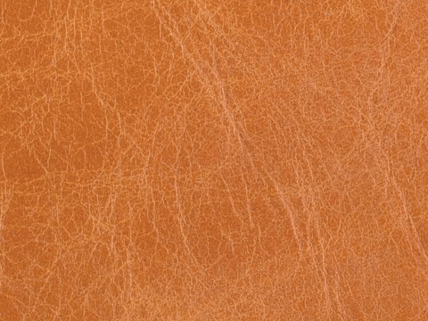  皮革 