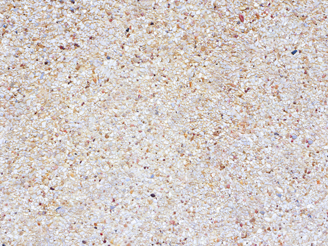  水磨石  石英石 