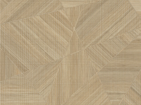 现代法式浅色木纹木地板