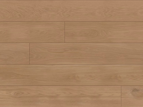 现代原木原木地板 浅色木地板