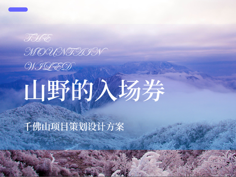  绵阳千佛山民宿建筑方案文本 