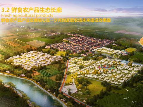  商河龙桑寺田园综合体方案文本 