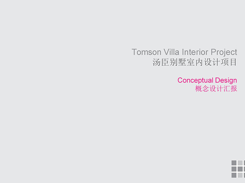  上海汤臣奢华私人别墅豪宅方案文本 