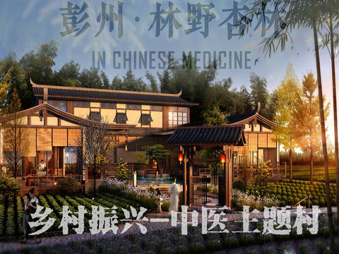 成都彭州中医主题村景观设计项目方案文本 