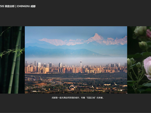  成都·金茂璞逸锦江197户型样板间设计方案文本 