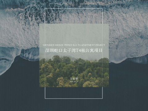 深圳蛇口太子湾T4栋公寓项目方案文本 