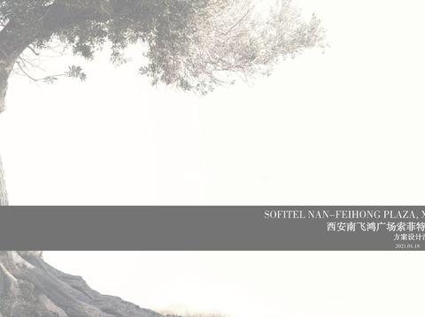  西安南飞鸿广场索菲特酒店公区方案文本 