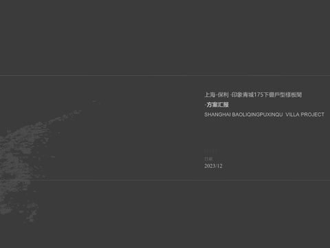  上海保利建发印象青城：下叠户型别墅方案文本 