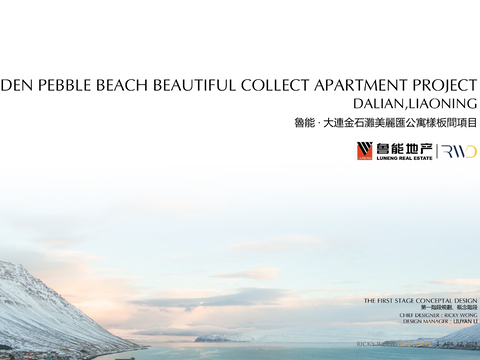  大连鲁能金石滩美丽汇公寓方案文本 