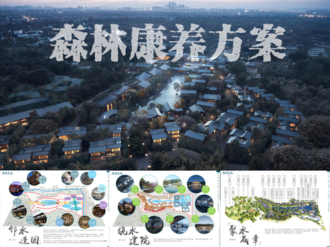  四川成都都江堰青城山隐幽园森林康养酒店建筑方案文本 