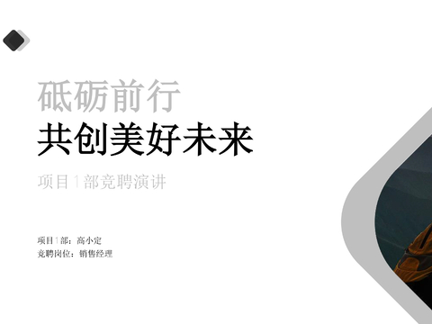  商业策划 项目 演讲方案文本 