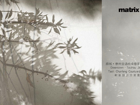  矩阵泰州金通桃李春风两套合院样板间深化文本 