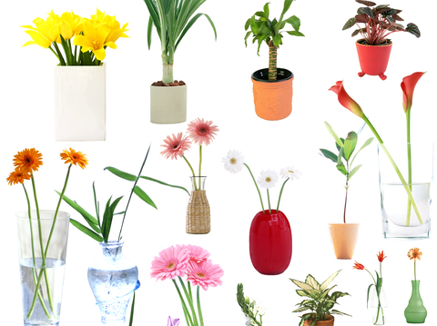 现代极简花盆_花艺