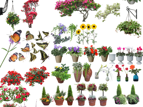 现代极简植物组合_绿化带_盆栽