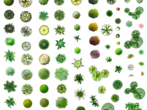 现代简约室内彩平图_绿植_彩平图免扣素材_分层免扣素材