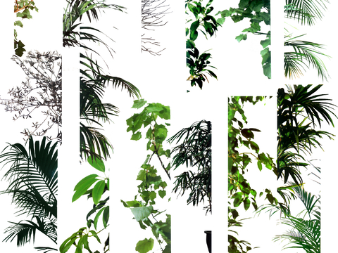 极简现代其他植物 绿植 花草