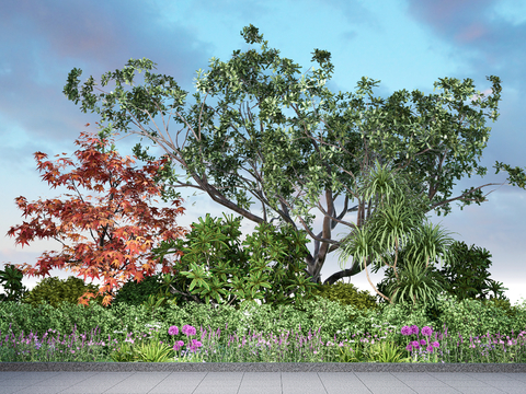  花草花境 植物灌木su模型 