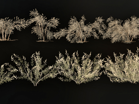  草丛 杂草 园林植物su模型 