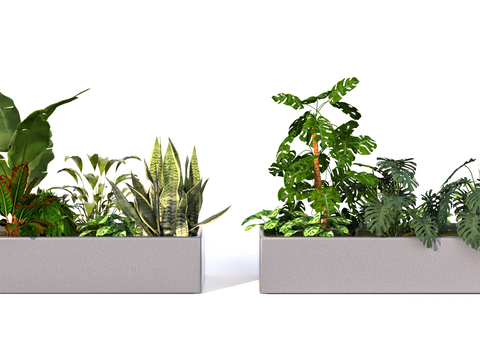  花池 花箱 绿值su模型 