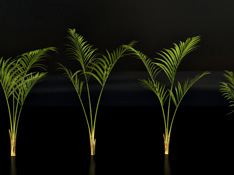  植物 绿植su模型 