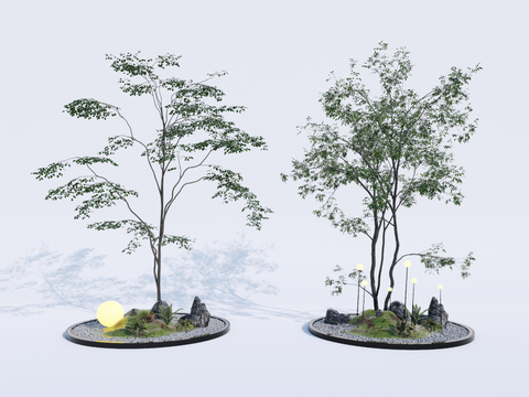  乔木 行道树 景观树 庭院树su模型 