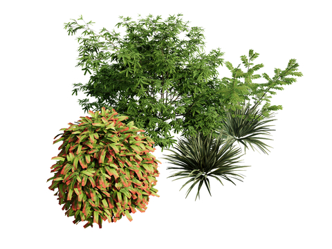  花草 草丛 草堆su模型 