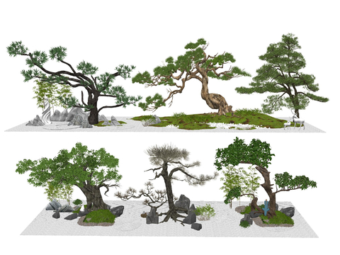  罗汉松 黑松 观赏树su模型 