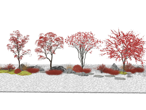  红枫 乔木 景观树su模型 