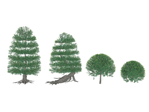  造型树 黄杨球 灌木球su模型 