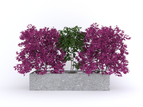  花灌木 花池su模型 