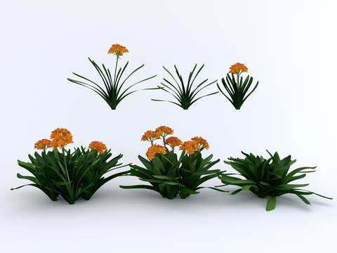  绿植 君子兰su模型 