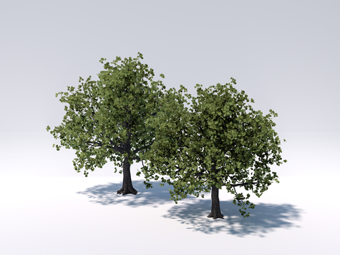  行道树 景观树 庭院树 乔木su模型 